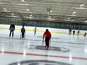 Skaters on the Ice 2
