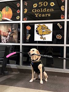 Benny Sitting near the Window