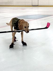 Benny with a Hockey Stick in Her Mouth 3