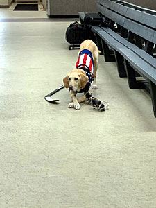Benny Beside the Bleachers
