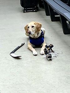 Benny Laying Beside Bleachers