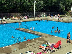 Overview of the Pool