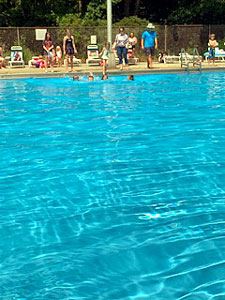 Swimmers at the Edge of the Pool 1