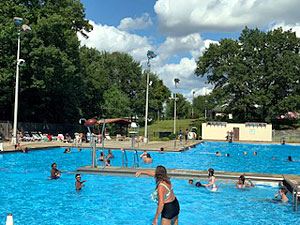 Swimmers in the Pool