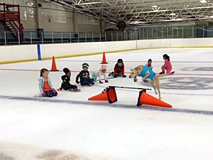 Benny Jumping over a Hurdle Made of Traffic Cones and a Hockey Stick