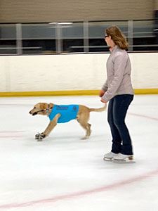 Benny Skating at High Speeds