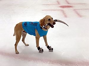 Benny Holding a Hockey Stick