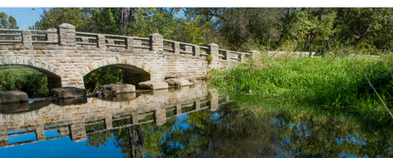 Bridge at Metroparks